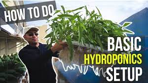 how to do hydroponics tutorial for