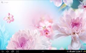 flowers live wallpaper apk for android