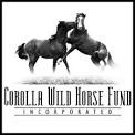 Corolla Wild Horse Fund