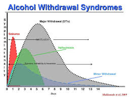 Alcohol Withdrawal Hallucinations How To Escape From Hell