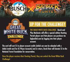 Big Buck Hunter Teams With Busch Beer For Promo Replay
