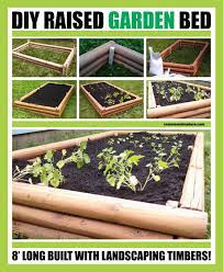 Diy Raised Garden Bed With Landscaping