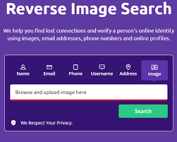 how to reverse image search insram