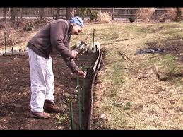 fencing a vegetable garden you