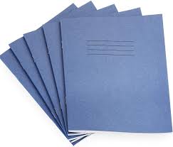 Rhino - School Exercise Books - A5 - Lined - 48 Pages - Pack of 10 - Blue  Cover: Amazon.co.uk: Office Products