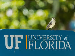 University of Florida Application 2023-2024