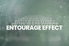 The Entourage Effect Unlocking The Full Potential Within