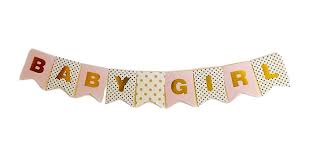 Idiogram Baby Girl Paper Bunting Banner Birthday Party