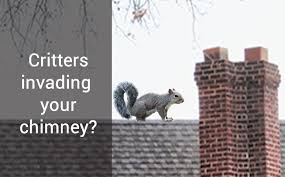 Critters In Your Chimney English Sweep