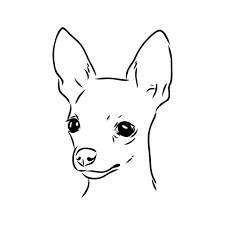 dog russian toy terrier hand drawn
