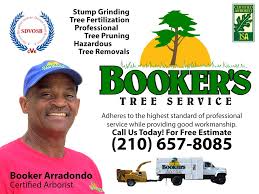 If you decide to go for a degree, there are many different courses you will need to take. Booker S Tree Service United States Texas San Antonio Blackbook Directory And Yearbook