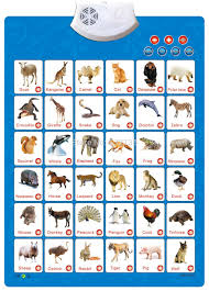 English Animal Phonetic Chart Sound Wall Charts Children Kid