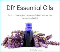 Essential oils contain the life essence of plants, and you can make them at home. Diy Essential Oils Learn How To Make Your Own Essential Oils