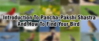 Birds are the best flying machines in the world. Pancha Pakshi Shastra How It Influences Your Personality Clickastro Com