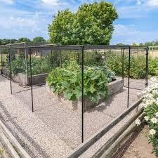 Harrier Fruit Veg Cage Fruit Cages