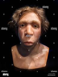 Neanderthal Man High Resolution Stock Photography and Images - Alamy