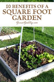 10 benefits of a square foot garden
