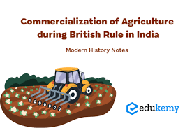 Commercialization of Agriculture During British Rule in India – Modern  History Notes - Blog