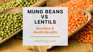 mung beans vs lentils nutrition