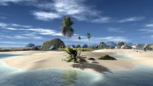 ocean coast palm tree landscape