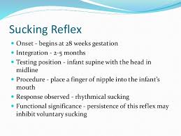 Neonatal Reflexes By Baneet