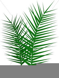 free clipart palm fronds free images
