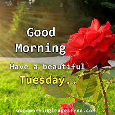 191 good morning tuesday images wishes