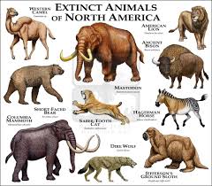 Extinct Mammals Of North America Fine Art Print Animals