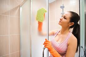 cleaning glass shower doors with