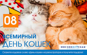 Всемирный день кошек (world cat day) день рождения. Parol Den Koshek 8 Avgusta Vc Zoovet