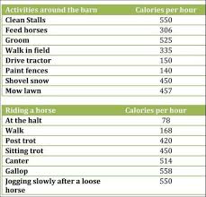 Farm Workout Calorie Burning Chart Work Outs I Should Try