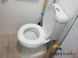 Toilet Bowl Replacement Plumber