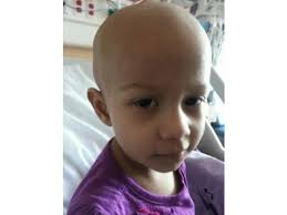 Amy Estrada of Corona, diagnosed with a rare brain cancer , will celebrate her birthday Aug. 9 with a party at Citrus Park . COURTESY OF CHARLOTTE PONTIUS - n9lz65-b88153550z.120140731203047000gvm40tsc.10