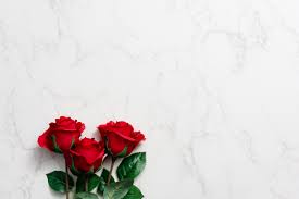 red roses on white marble background