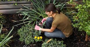 How To Prepare Soil For Gardening