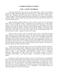     Examples Of A Good Essay Introduction   Writing An Worksheet    