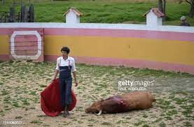 68 Dead Matador Photos and Premium High Res Pictures - Getty Images