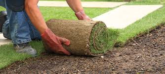 Basic guidelines and steps involved in the installation of artificial turf or fake grass. Can You Lay Turf On Sand Should You Do It In The First Place