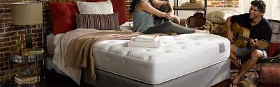 pranasleep reviews 2024 mattresses