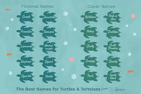 So first i really think some words are always used for aesthetic usernames, for example: 100 Names For Pet Turtles And Tortoises