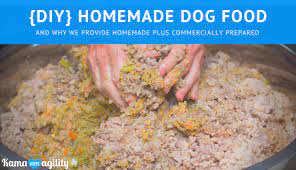 diy homemade cooked dog food