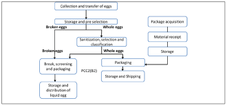 Flow Chart Of Egg Production System Download Scientific