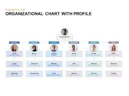 organizational chart with profile