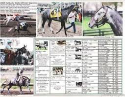 Details About Race Horse Kentucky Derby Grey Stallion Giacomo Picture Pedigree Chart