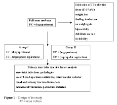 Urinary Tract Infections and Vesicoureteral Reflux in Infants and     SlideShare Pathophysiology of Uti