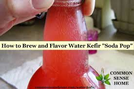 brew and flavor water kefir soda pop