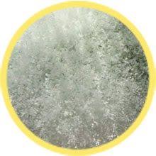 Types Of Mold White Pink Green And Yellow Mold