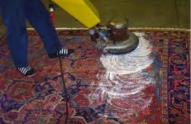 larson rug cleaning jacksonville fl