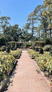 mercer botanic gardens arboretum