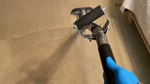 carpet cleaning in columbus ga 31909